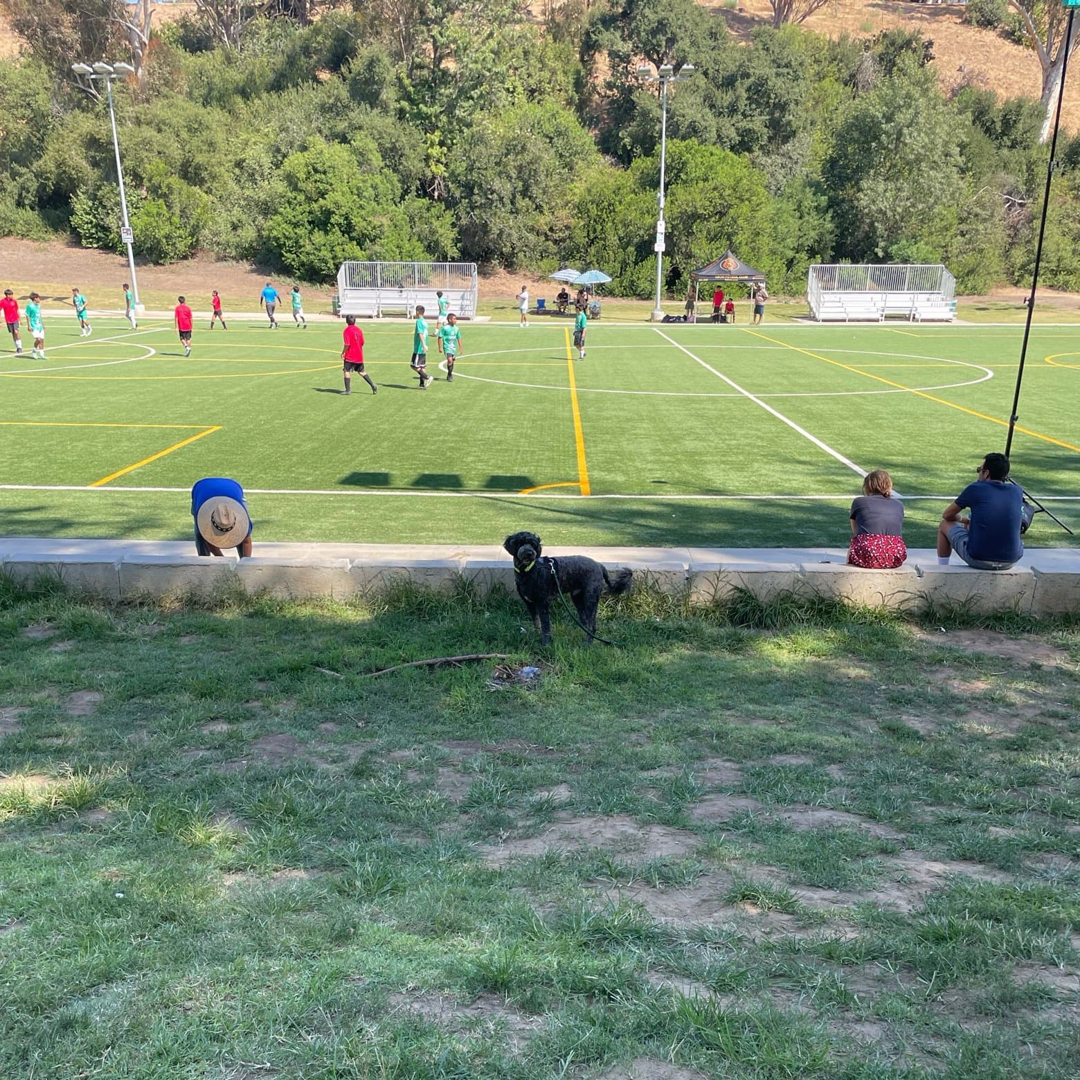 9v9 Dodgers Stadium Field