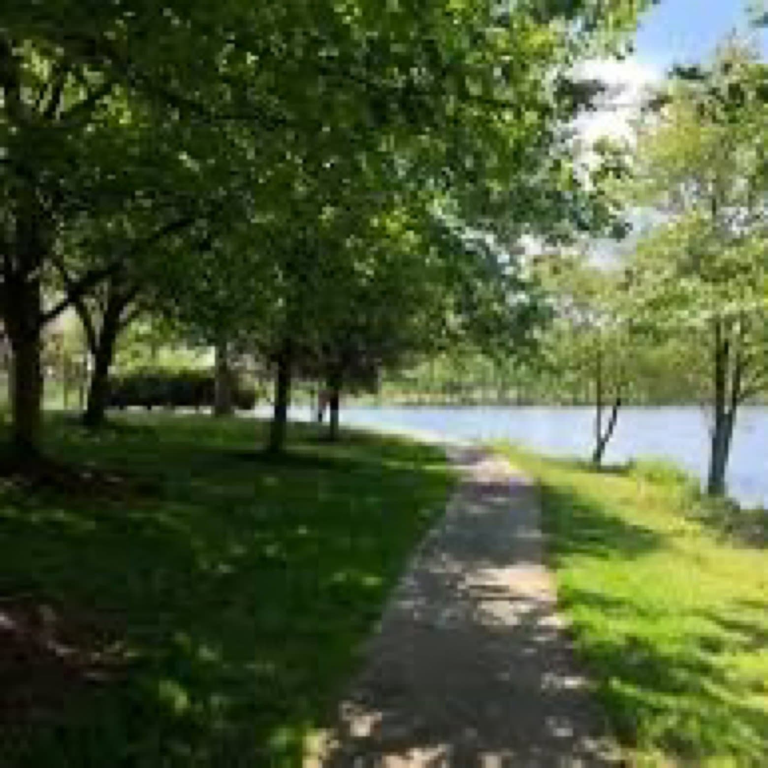 Freestyle Runners (weekend runs)