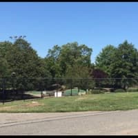 Eisenhower Soccer Group