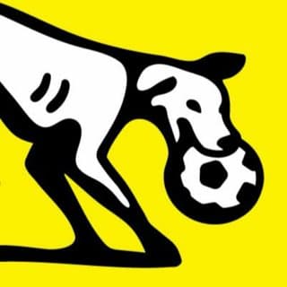 StreetDawgz Street Soccer
